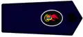 Kreis Jugendfeuerwehrwart und Stellvertreter