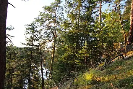 Naturreservat Krkavčina