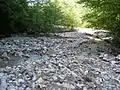 Teil des Naturdenkmals Kroisbachgraben