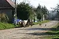 Ein zwar schon seltenes, aber immer noch anzutreffendes Transportmittel.