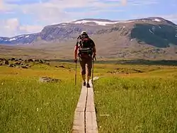 Kungsleden zwischen Alesjaure und Trjäktja