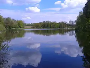 Blick über den Kunstteich Neudorf