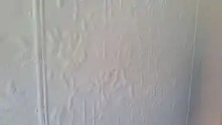 Innen­wand Blech Kirsch­blüte