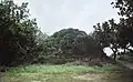 Puzumari Turm