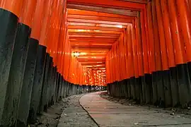 Gang aus Torii am Fushimi Inari-Taisha in Kyōto