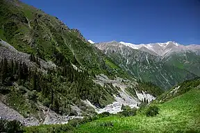 Im Ala-Artscha-Nationalpark