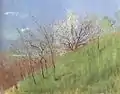 Hügel im Frühling, 1903/4