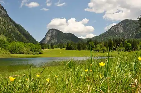 Desgleichen im Juni