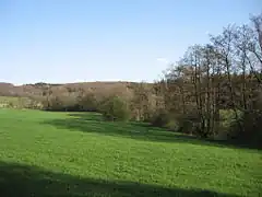 Lörmecketal südlich Hohler Stein