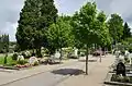 Friedhof Lörrach-Stetten
