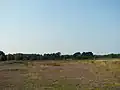 Feuchte Sandheide in der Nähe des Pietzmoores