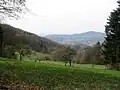 Das Lautertal mit dem Felsberg-Rücken, dahinter die Auerbacher Schloss-Melibokus-Kette, am Horizont die Rheinebene (Blickpunkt: Hohenstein)