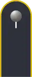 Schulterklappe der Jacke des Dienstanzuges für Luftwaffenuniformträger.