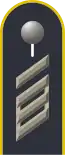 Dienstgradabzeichen auf der Schulterklappe der Jacke des Dienstanzuges für Luftwaffenuniformträger.
