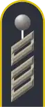 Dienstgradabzeichen auf der Schulterklappe der Jacke des Dienstanzuges für Luftwaffenuniformträger.