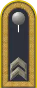 Dienstgradabzeichen auf der Schulterklappe der Jacke des Dienstanzuges für Luftwaffenuniformträger.