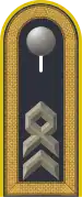 Dienstgradabzeichen auf der Schulterklappe der Jacke des Dienstanzuges für Luftwaffenuniformträger.
