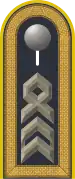 Dienstgradabzeichen auf der Schulterklappe der Jacke des Dienstanzuges für Luftwaffenuniformträger.