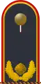 Brigadegeneral außer Dienst (Luftwaffenuniform)