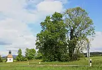 Standort der ursprünglichen Wegekapelle (vorne; Bäume) mit Siebenschläferkapelle (hinten)