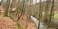Nieme und Wiese