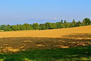 Das Tournay-Land (Flur), ehemaliges Ackerland der Herren von Tournay