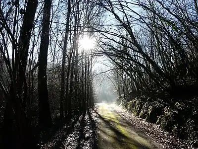 Zufahrtsweg hinab zum Belaygue bei Le Bernard