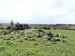Loughmacrory Court Tomb