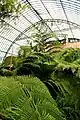 Abzweigung zwischen dem "Jardin d'hiver" und der Orangerie