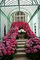 Treppen zu dem "Pavillon des palmiers"