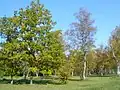 Naturschutzgebiet Laelatu