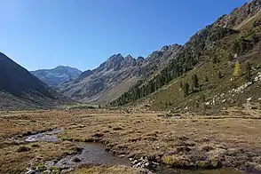 Längental mit Längentalbach und Niedermoor