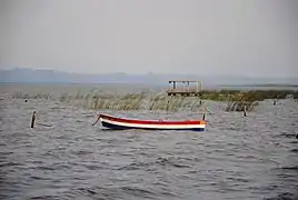 Der See bei Aregua