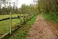Ein Weg des Parks
