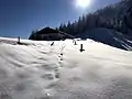 Winteraspekt