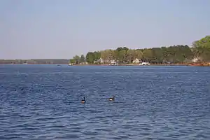 See bei Hubquarter Creek in North Carolina