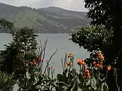Vielfältige Vegetation um den See
