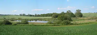 Nördlicher Hintenteich (Juni 2006)