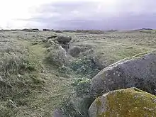 Allée couverte von Ribl