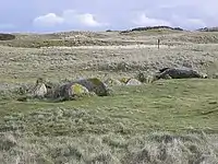 Allée couverte von Ribl