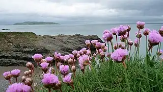 Lambay vom Donabate Portrane Cliff Walk aus gesehen.