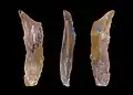 Grob gearbeitete und retuschierte Klingenlamellen aus Frankreich, 2000–1300&nbsp;v.&nbsp;Chr.
