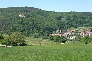 Burg Landeck (Pfalz)