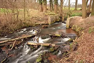 Landerbach im Ortsteil Sende