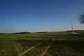 Zwischen Oberiflingen und Dürrenmettstetten