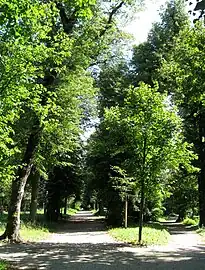 Landschaftsgarten