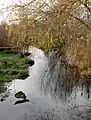 Hachinger Bach