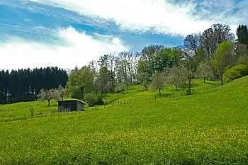 Nassachtal