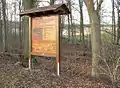 Infotafel bei Holtensen, dahinter Wälle und ein Bachlauf der Landwehr