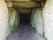 Langdysse von innen